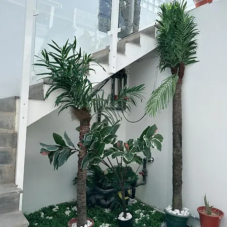 Johnny Lejlighed Playa Blanca (Lanzarote)