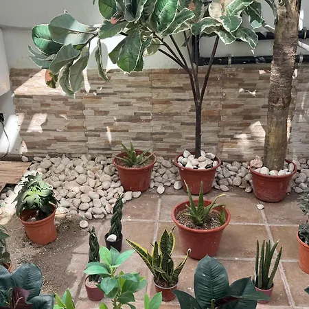 Johnny Appartement Playa Blanca (Lanzarote)